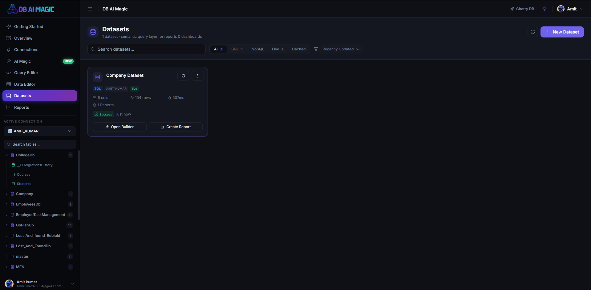 Dataset editor — query on the left, column list on the right.
